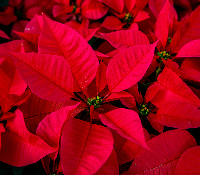 From Our House To Yours…