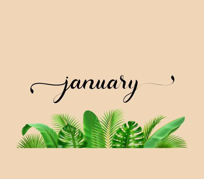 New Year, New Format